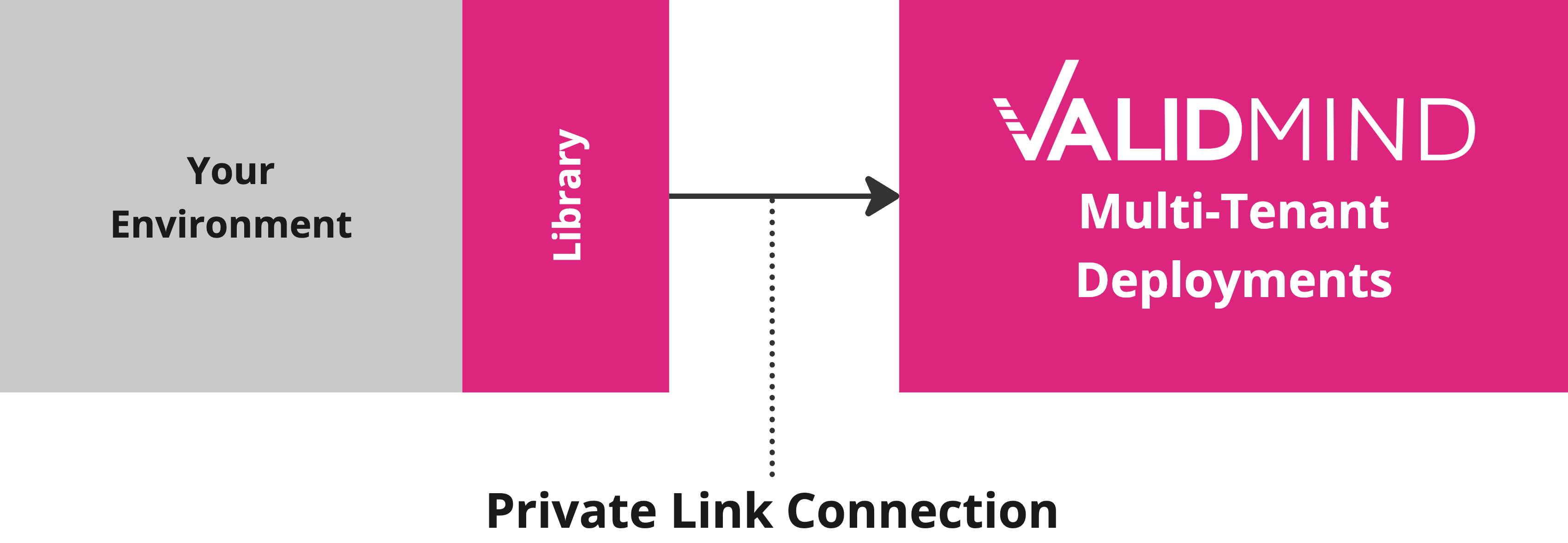 An image showing one ValidMind multi-tenant cloud deployment